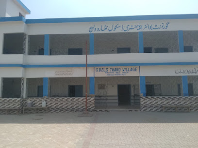 Government Boys Elementary School Tharo Mengal Maymar Karachi logo