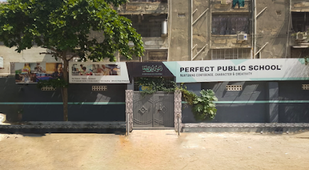 Perfect Public School