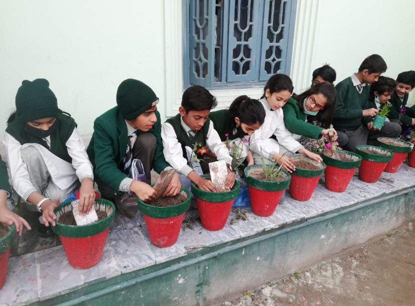 the-trainers-schools-maymar.
