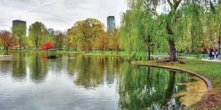 Jheel-ParkGulshaneMaymar