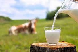 Dua-Milk-Shop